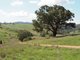 Photo - Palmers Oaky NSW 2795 - Image 14