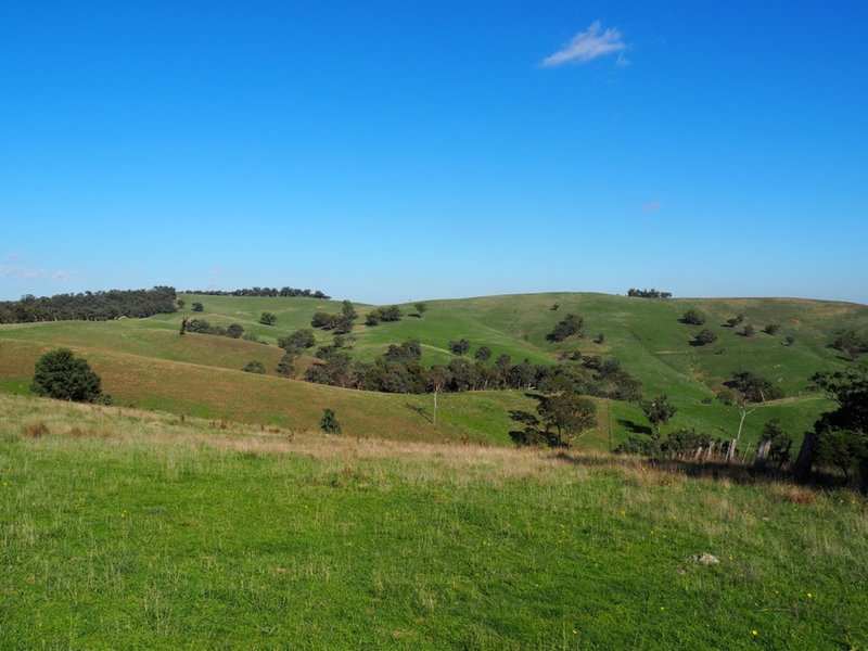 Photo - Palmers Oaky NSW 2795 - Image 15