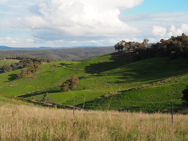 Photo - Palmers Oaky NSW 2795 - Image 16