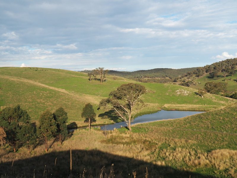 Photo - Palmers Oaky NSW 2795 - Image 17