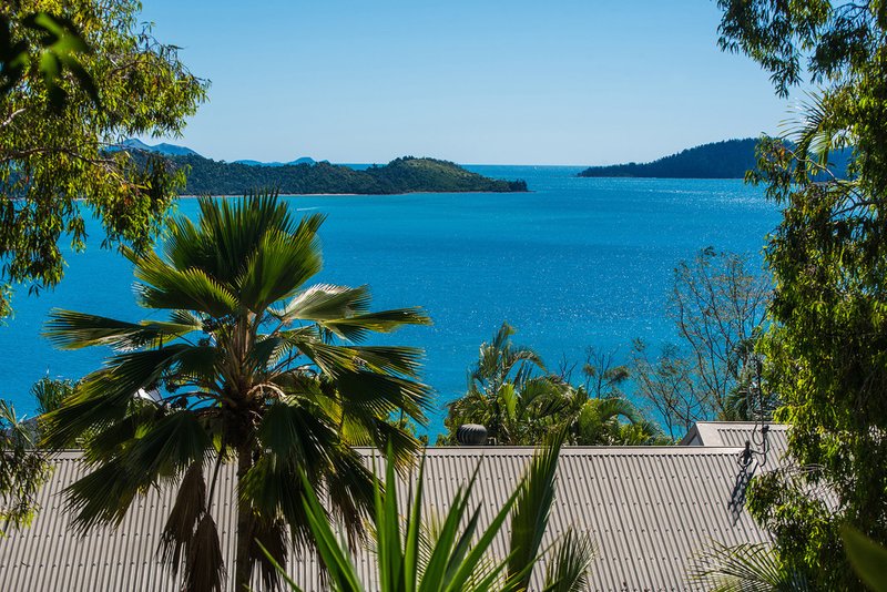 Photo - Pandanus D/4 Banksia Court, Hamilton Island QLD 4803 - Image 14