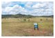 Photo - Paramount Park , Rockyview QLD 4701 - Image 3