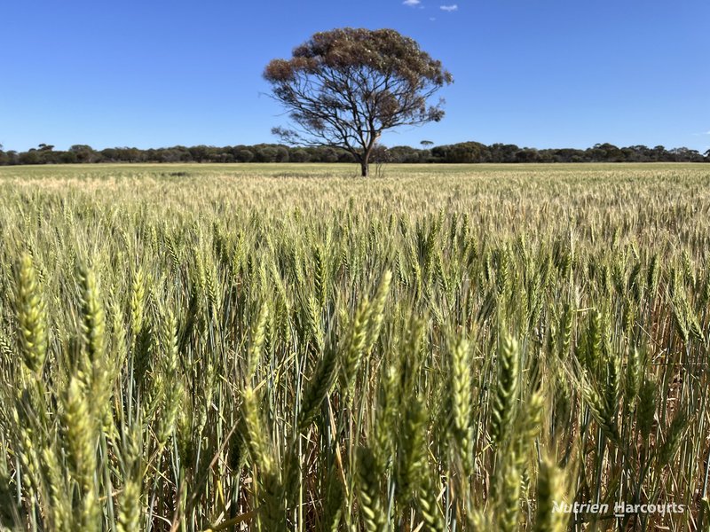 . Parker Range Road, Moorine Rock WA 6425