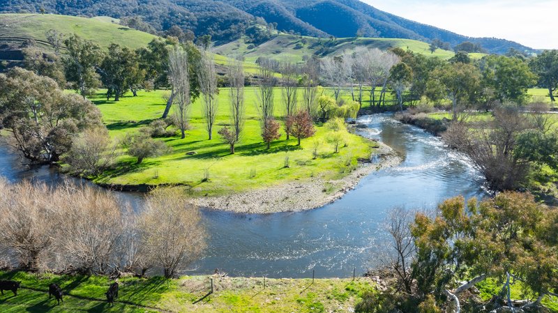 Photo - Part 165 Upper Murray Road, Towong Upper VIC 3707 - Image 1