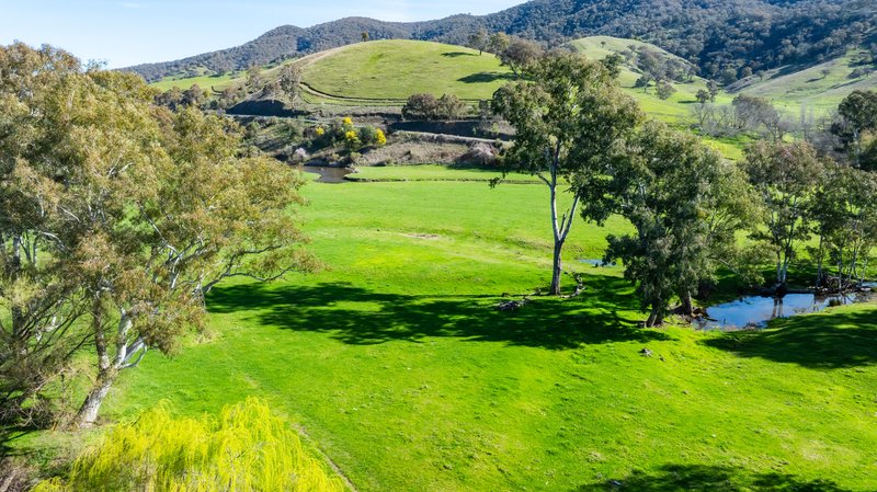 Photo - Part 165 Upper Murray Road, Towong Upper VIC 3707 - Image 3