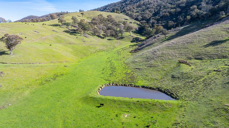 Photo - Part 165 Upper Murray Road, Towong Upper VIC 3707 - Image 13