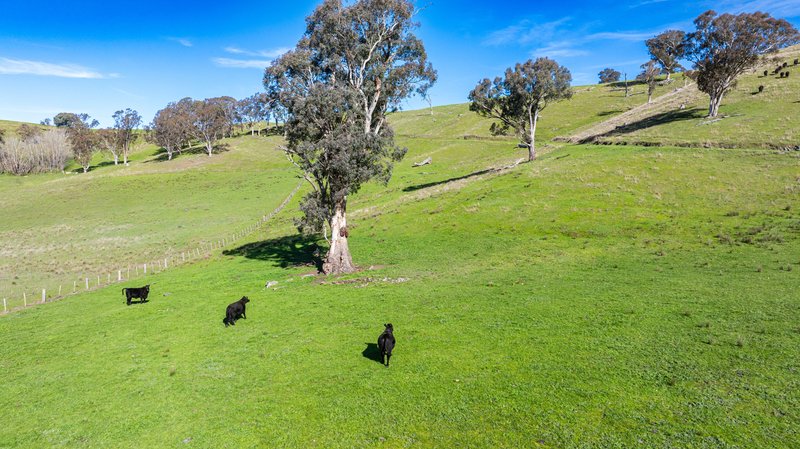 Photo - Part 165 Upper Murray Road, Towong Upper VIC 3707 - Image 14
