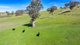 Photo - Part 165 Upper Murray Road, Towong Upper VIC 3707 - Image 14