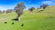 Photo - Part 165 Upper Murray Road, Towong Upper VIC 3707 - Image 15
