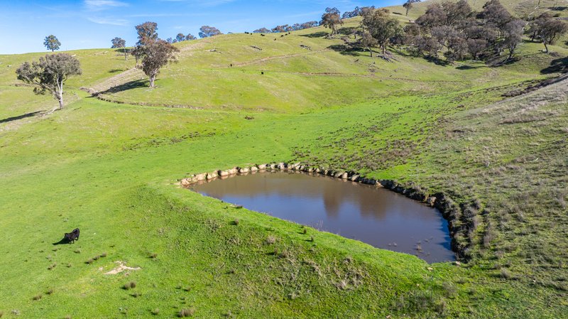 Photo - Part 165 Upper Murray Road, Towong Upper VIC 3707 - Image 17