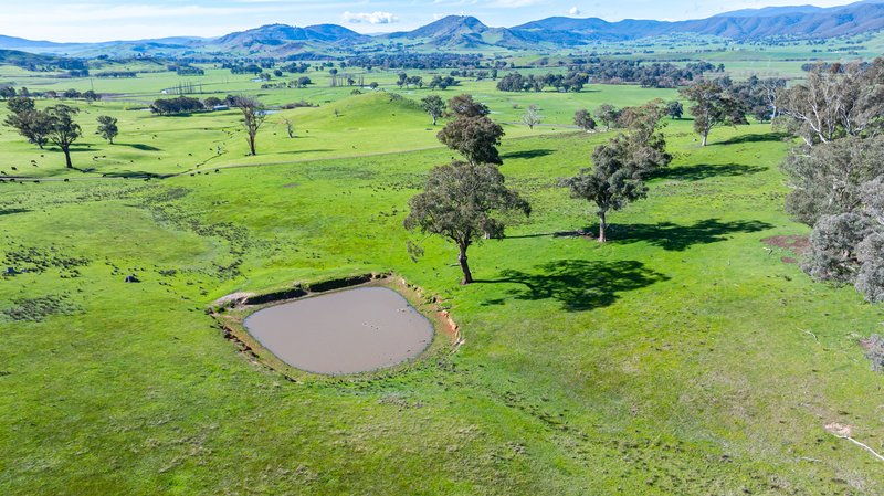 Photo - Part 165 Upper Murray Road, Towong Upper VIC 3707 - Image 19