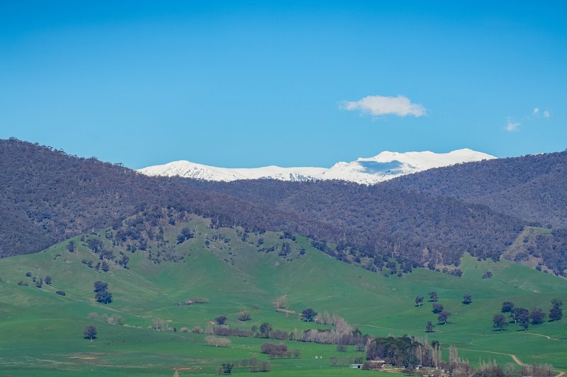 Photo - Part 165 Upper Murray Road, Towong Upper VIC 3707 - Image 21