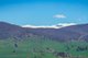 Photo - Part 165 Upper Murray Road, Towong Upper VIC 3707 - Image 21