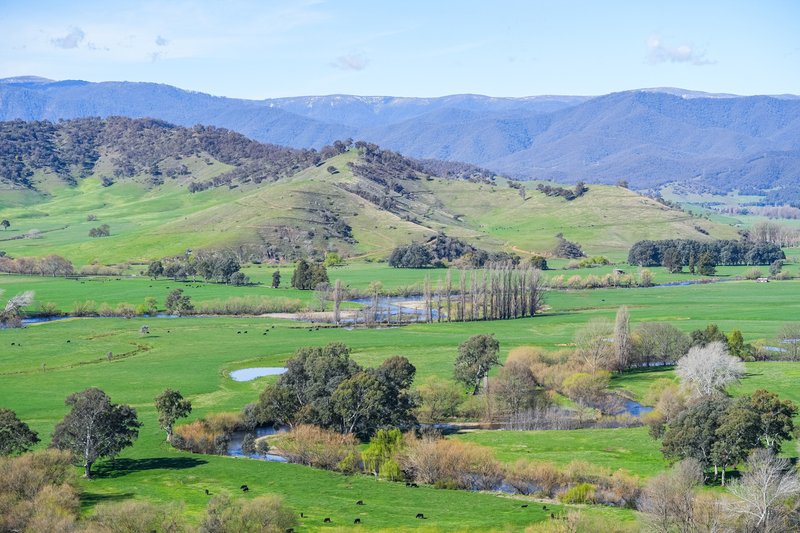 Photo - Part 165 Upper Murray Road, Towong Upper VIC 3707 - Image 22