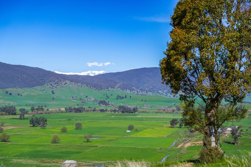 Photo - Part 165 Upper Murray Road, Towong Upper VIC 3707 - Image 23