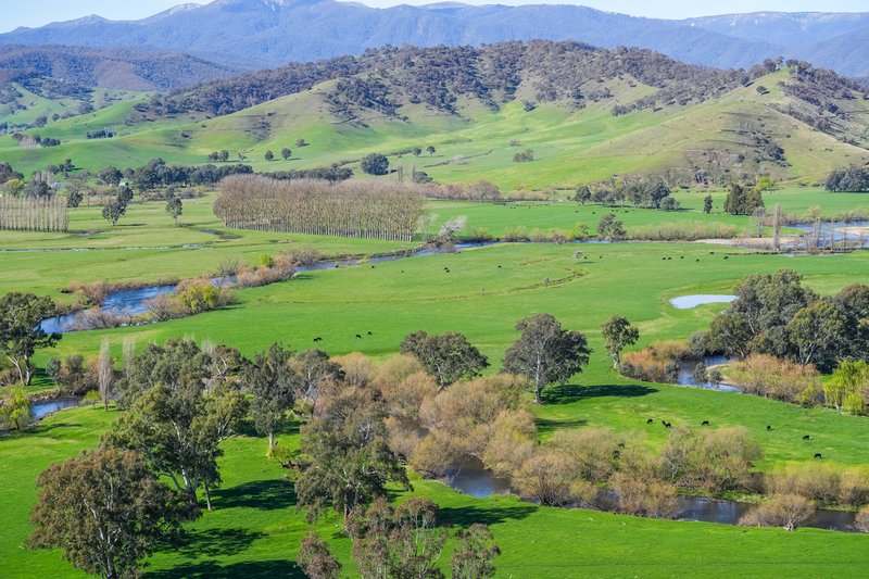 Photo - Part 165 Upper Murray Road, Towong Upper VIC 3707 - Image 24