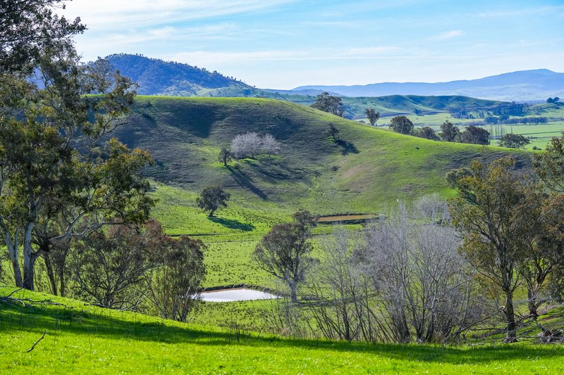 Photo - Part 165 Upper Murray Road, Towong Upper VIC 3707 - Image 25