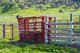 Photo - Part 165 Upper Murray Road, Towong Upper VIC 3707 - Image 27