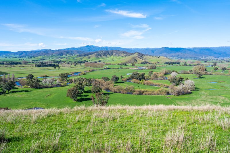 Photo - Part 165 Upper Murray Road, Towong Upper VIC 3707 - Image 30