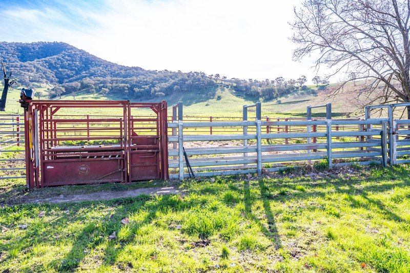 Photo - Part 165 Upper Murray Road, Towong Upper VIC 3707 - Image 32