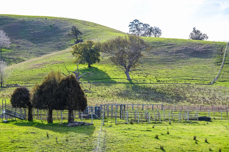 Photo - Part 165 Upper Murray Road, Towong Upper VIC 3707 - Image 33