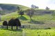 Photo - Part 165 Upper Murray Road, Towong Upper VIC 3707 - Image 33