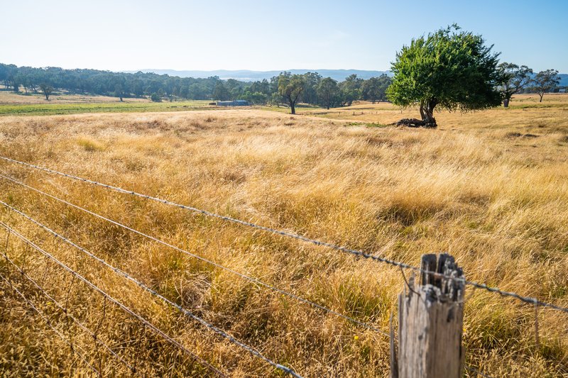 Photo - Part 513 Beechworth-Chiltern Road, Beechworth VIC 3747 - Image 1