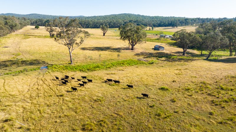 Photo - Part 513 Beechworth-Chiltern Road, Beechworth VIC 3747 - Image 14