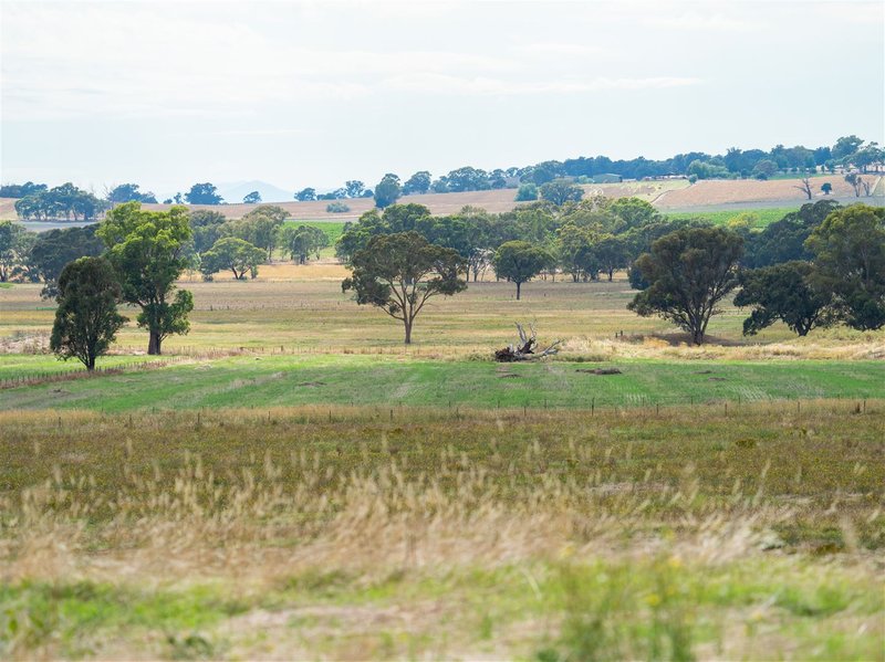 Photo - Part - 74 Nesbitt Road, Rutherglen VIC 3685 - Image 9