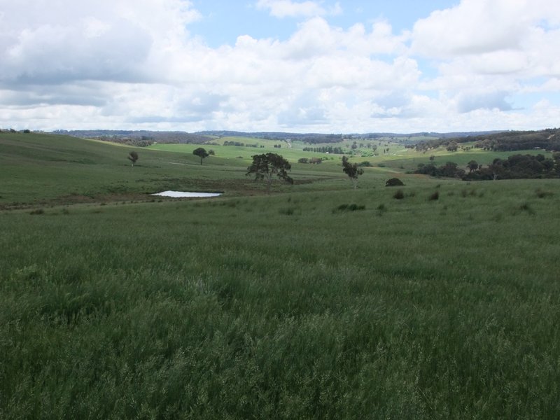 Part Red Hill Triangle Flat Road, Bathurst NSW 2795