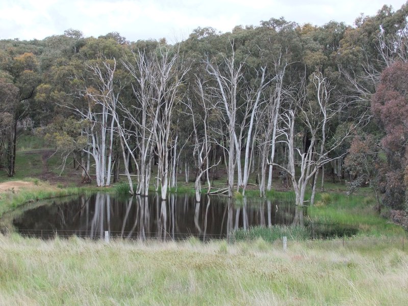 Photo - Part Red Hill Triangle Flat Road, Bathurst NSW 2795 - Image 4