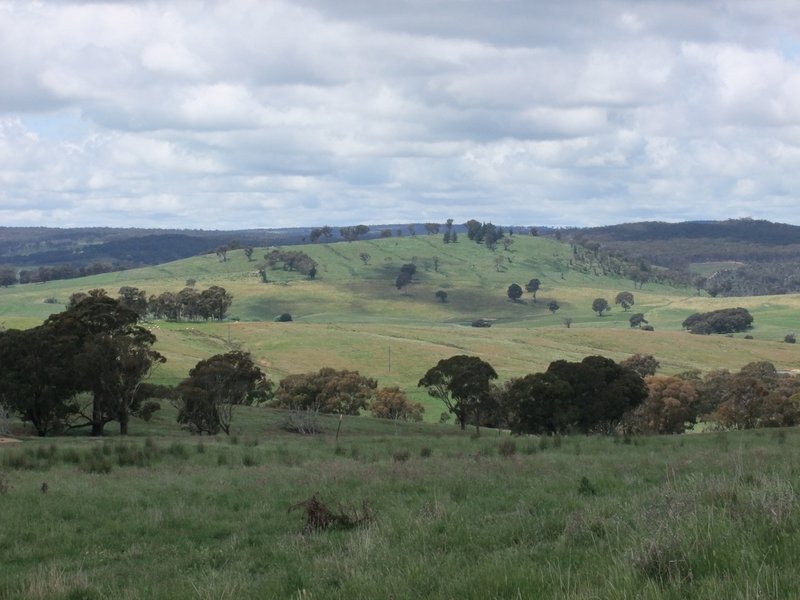 Photo - Part Red Hill Triangle Flat Road, Bathurst NSW 2795 - Image 5