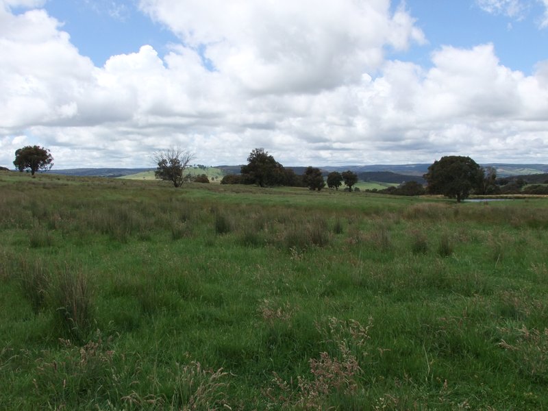 Photo - Part Red Hill Triangle Flat Road, Bathurst NSW 2795 - Image 7