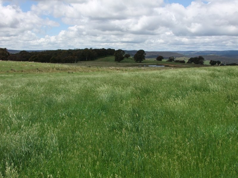 Photo - Part Red Hill Triangle Flat Road, Bathurst NSW 2795 - Image 11