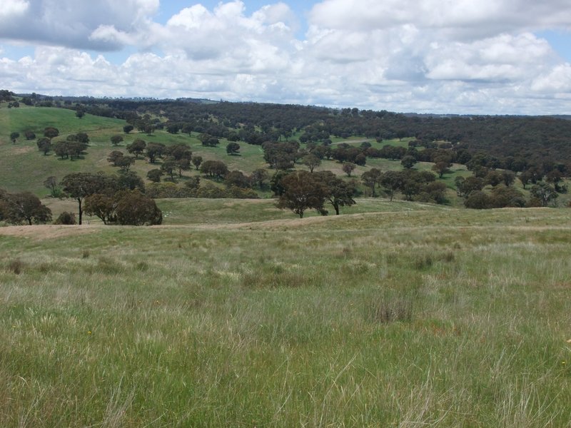 Photo - Part Red Hill Triangle Flat Road, Bathurst NSW 2795 - Image 15