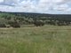 Photo - Part Red Hill Triangle Flat Road, Bathurst NSW 2795 - Image 15