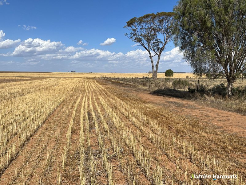 Photo - . 'Part' Tanners , Kununoppin WA 6489 - Image 8