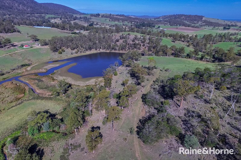 Photo - Pawleena Road, Pawleena TAS 7172 - Image 3