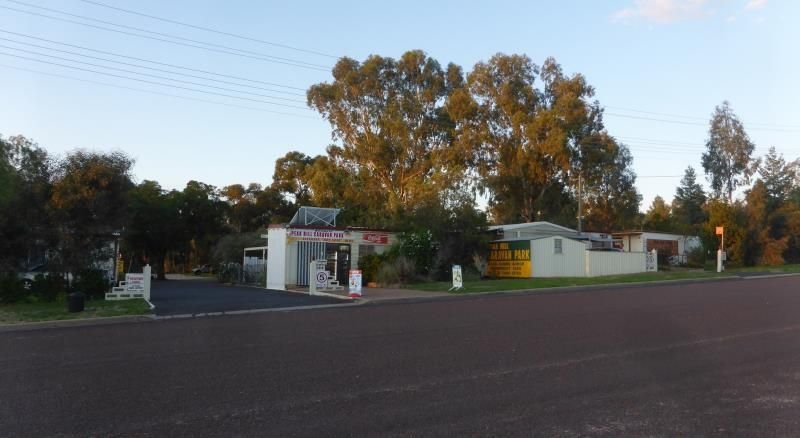 Photo - Peak Hill NSW 2869 - Image 2