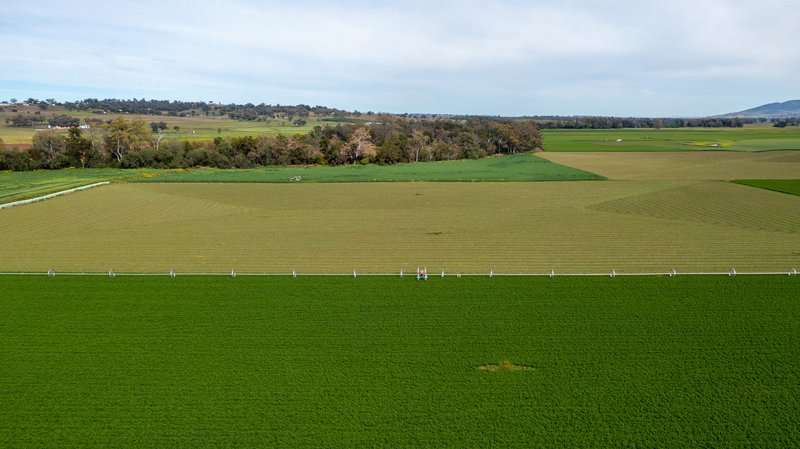 Photo - 'Peel River Park' 931 Nundle Road, Tamworth NSW 2340 - Image 20