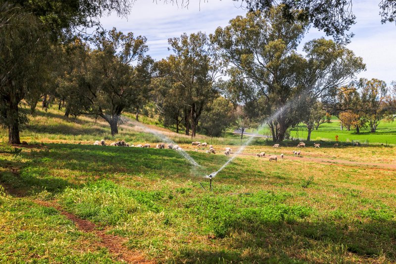 Photo - 'Peel River Park' 931 Nundle Road, Tamworth NSW 2340 - Image 22