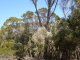 Photo - PID 2555448 Palana Road, Lughrata TAS 7255 - Image 3