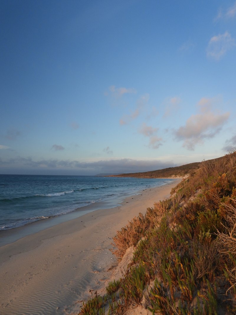 Photo - PID 6424015 Boat Harbour Road, Killiecrankie TAS 7255 - Image 2