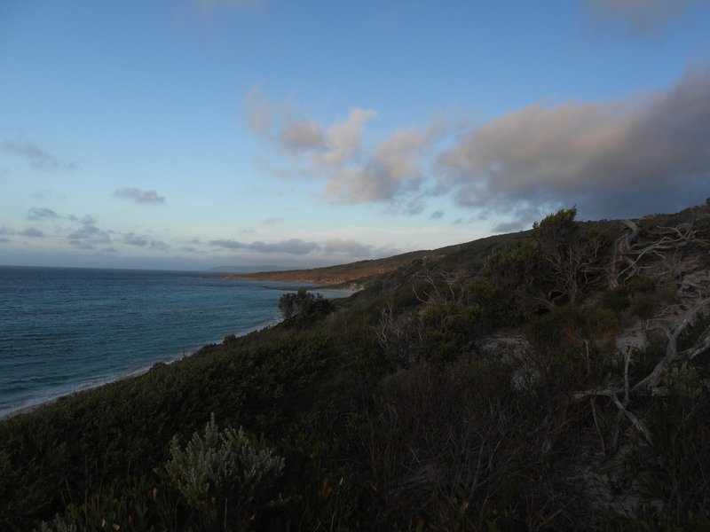 Photo - PID 6424015 Boat Harbour Road, Killiecrankie TAS 7255 - Image 23