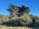 Photo - PID 6431469 Thunder & Lightning Road, Cape Barren Island TAS 7257 - Image 12