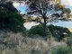 Photo - PID 6431469 Thunder & Lightning Road, Cape Barren Island TAS 7257 - Image 4