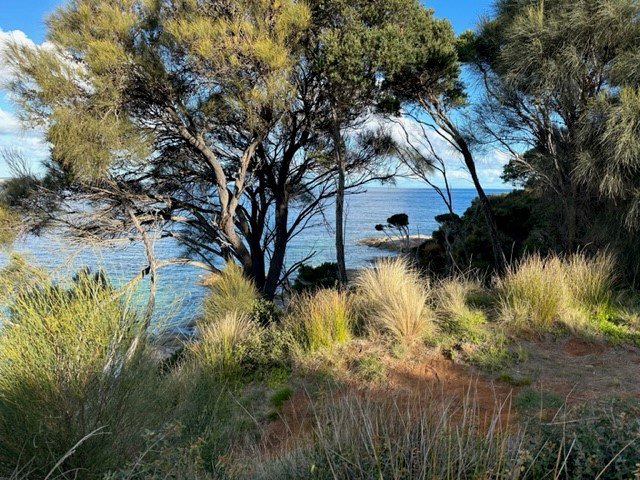 Photo - PID 6431469 Thunder & Lightning Road, Cape Barren Island TAS 7257 - Image 5