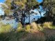 Photo - PID 6431469 Thunder & Lightning Road, Cape Barren Island TAS 7257 - Image 5