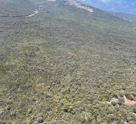 Photo - PID 6431530 Thunder & Lightning Road, Cape Barren Island TAS 7257 - Image 3