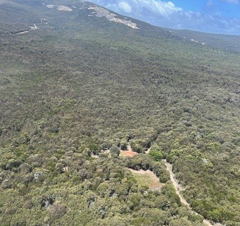 Photo - PID 6431530 Thunder & Lightning Road, Cape Barren Island TAS 7257 - Image 12